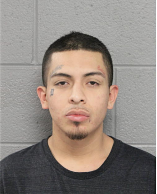 ERWIGN DELGADO, Cook County, Illinois