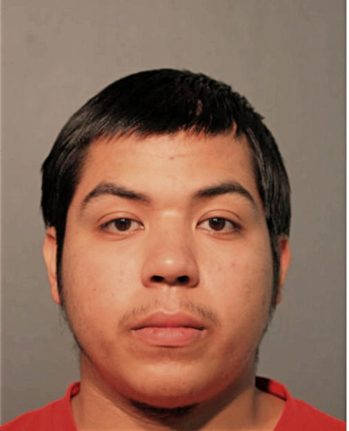 JAVIER DELGADO, Cook County, Illinois