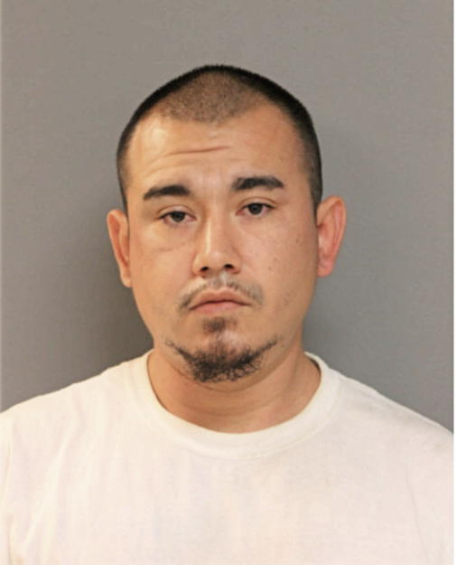 DIEGO R ECHEVARRIA, Cook County, Illinois