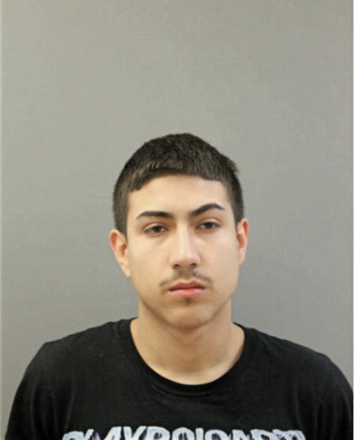 GABRIEL FLORES, Cook County, Illinois