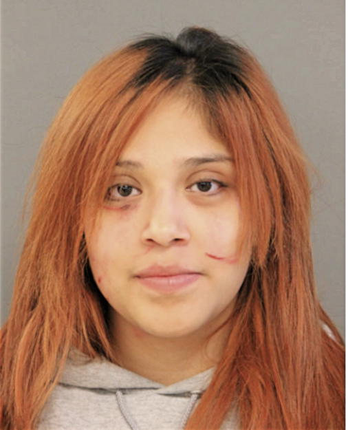ISAMAR FLORES, Cook County, Illinois