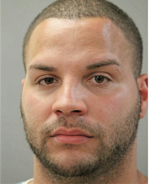 JOHNNY FONSECA, Cook County, Illinois