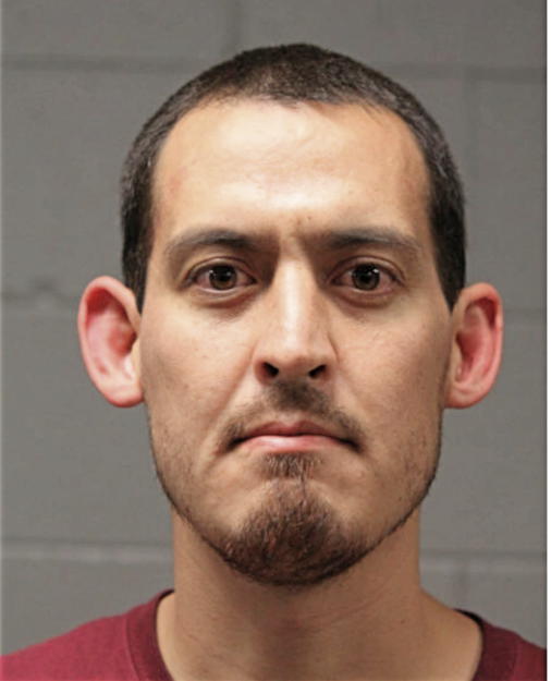 ANDREW H GRAY, Cook County, Illinois