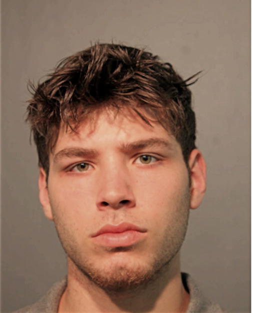 SKYLER D GRIES, Cook County, Illinois