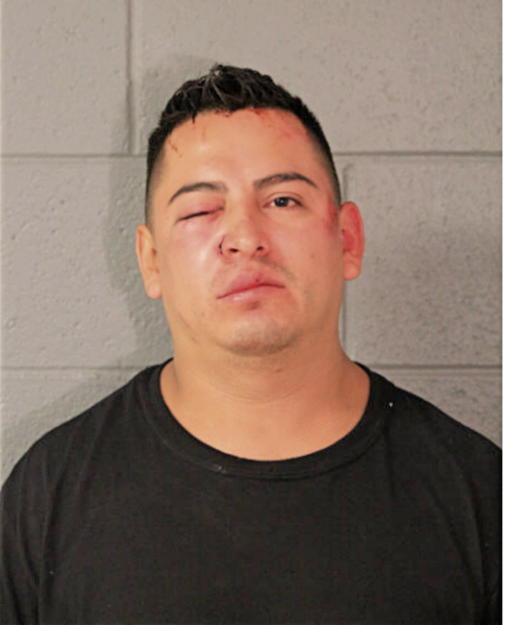 FERNANDO GUZAMAN, Cook County, Illinois