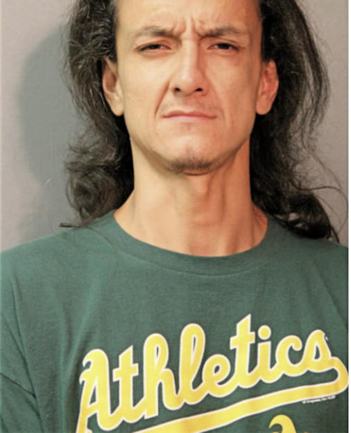 FREDDY A GUZMAN, Cook County, Illinois