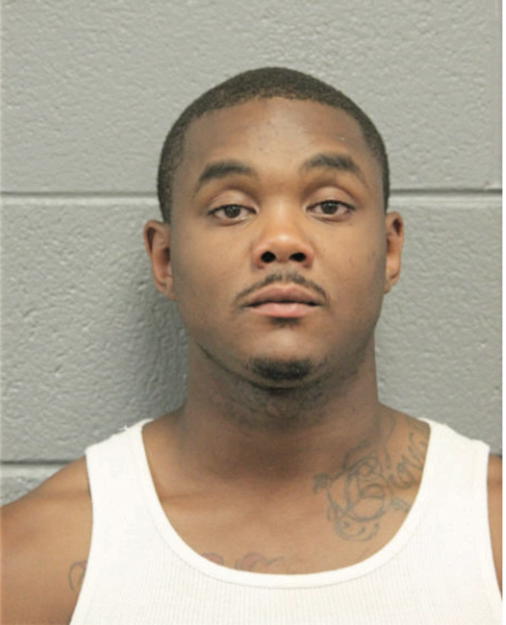 BRUCE A JAMES, Cook County, Illinois