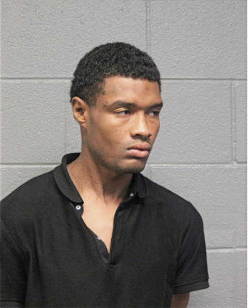 AMORY R KING, Cook County, Illinois