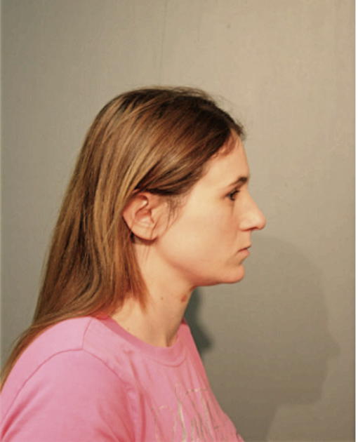HOLLY J LYNCH, Cook County, Illinois