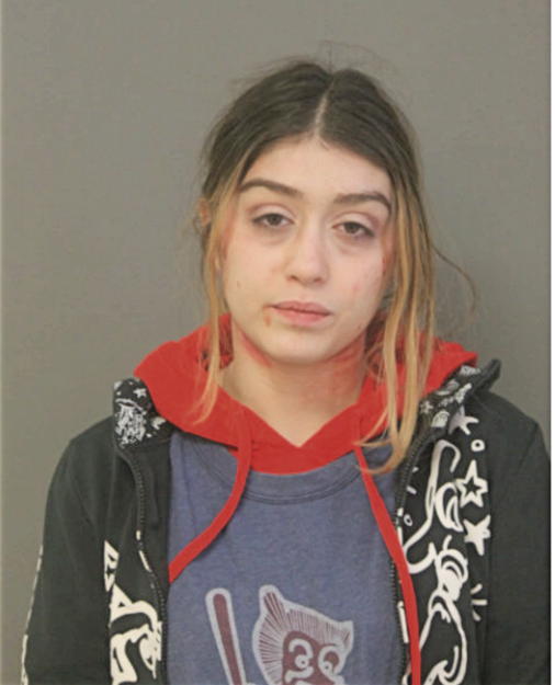 CARMELA A MELI, Cook County, Illinois
