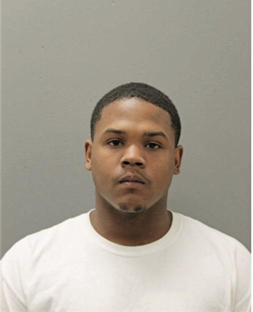 BRANDON G MERKSON, Cook County, Illinois