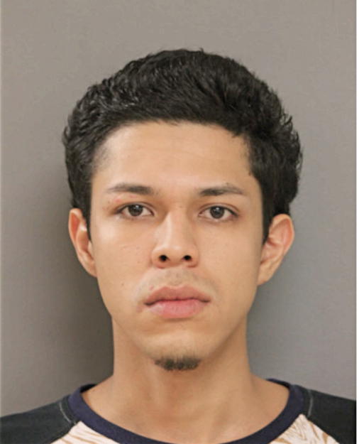 LUIS F RUEDA-CAMACHO, Cook County, Illinois