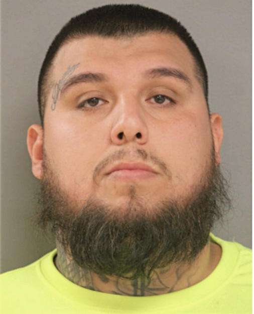 JOEL RUIZ, Cook County, Illinois