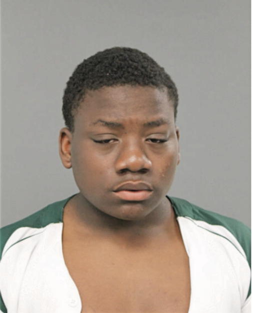 ROBERT D STEELE, Cook County, Illinois