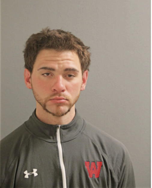 MICHAEL B STEFANI, Cook County, Illinois