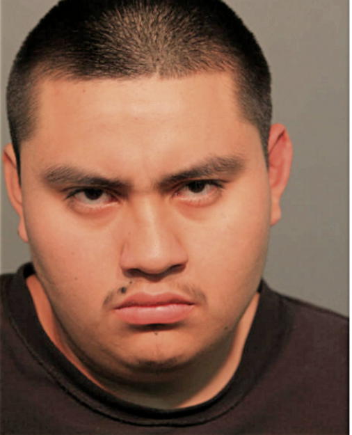 ISMAEL JESUS ULLOA, Cook County, Illinois