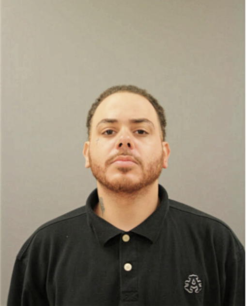 JUAN J VEGUILLA, Cook County, Illinois