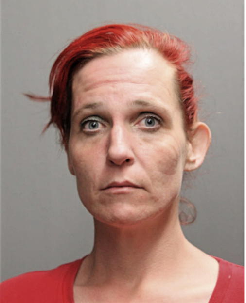 REBECCA D CROSS, Cook County, Illinois