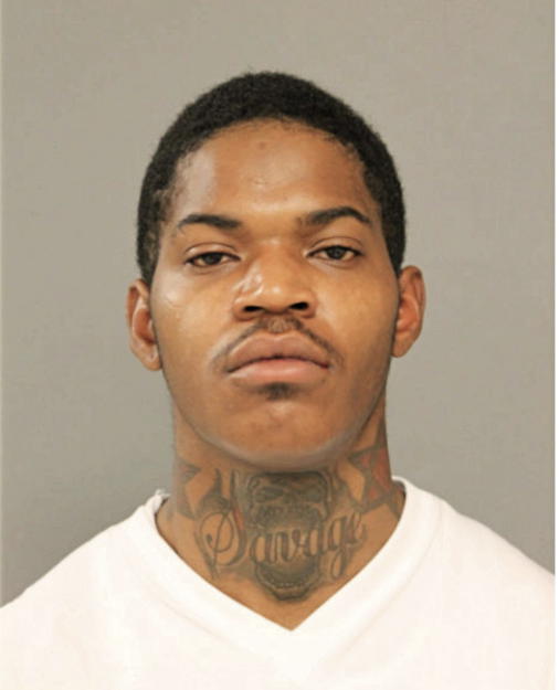 DARRELL A JOHNSON, Cook County, Illinois