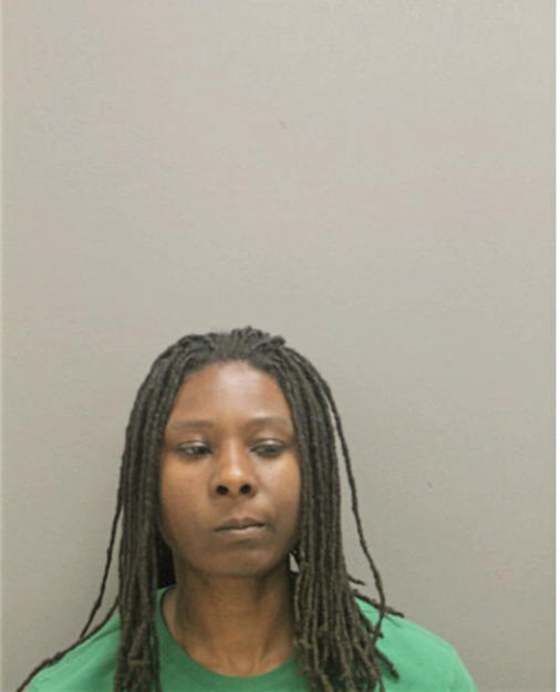 TAMMY L JONES, Cook County, Illinois