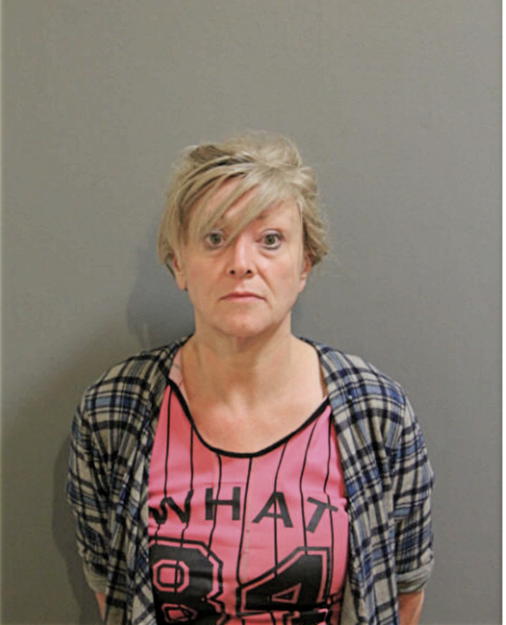 KRISTINA M KAMMER, Cook County, Illinois