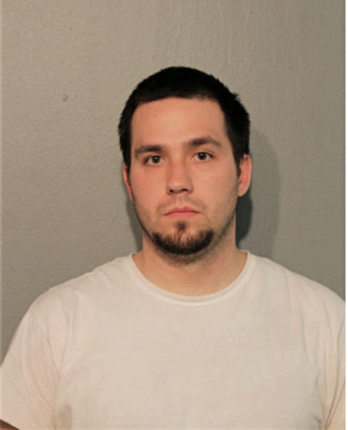 AARON M LESINSKI, Cook County, Illinois