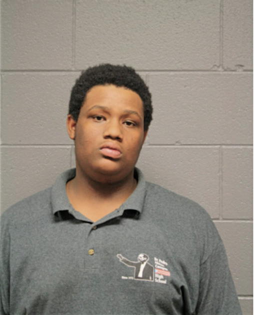 DEANDRE N LINDSEY, Cook County, Illinois