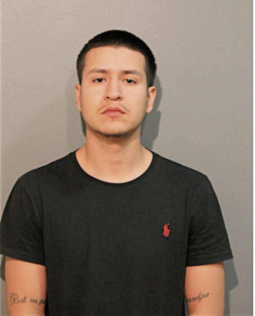 JESSE A LOPEZ, Cook County, Illinois