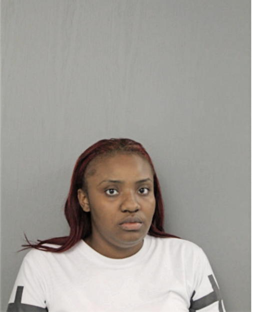 JSHREE S LOWERY, Cook County, Illinois