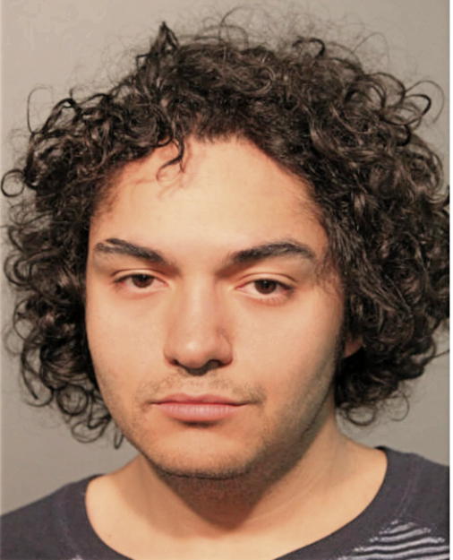 JUSTIN D MOHEDANO, Cook County, Illinois