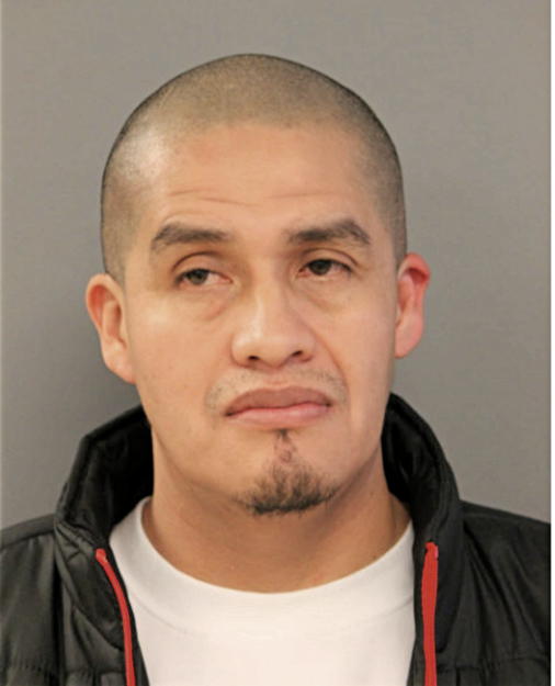 MAURICIO NAVA, Cook County, Illinois