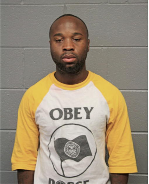 MICHAEL C NELSON, Cook County, Illinois