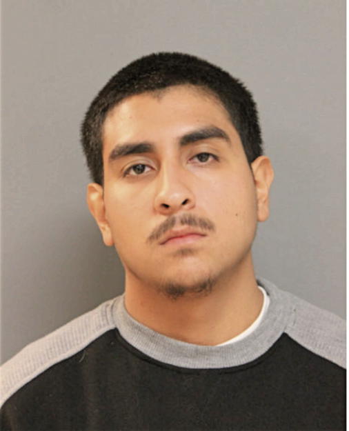 JUAN F NUNEZ RUIZ, Cook County, Illinois