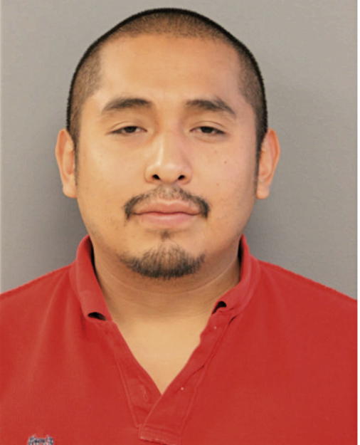 MELECIO F OCHOA, Cook County, Illinois
