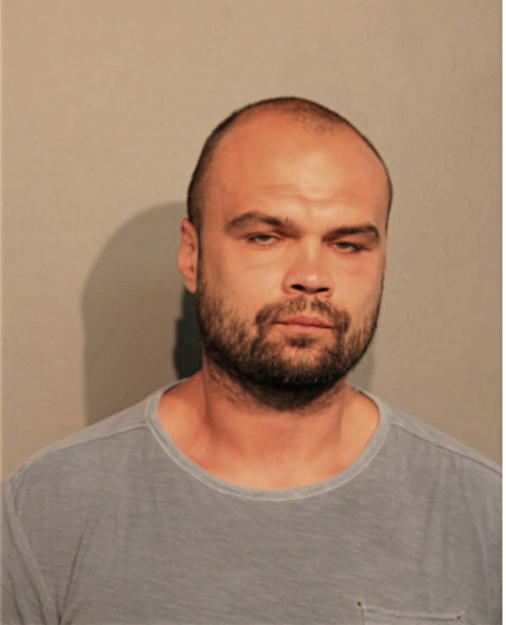 ANDREY PRIGORSKI, Cook County, Illinois