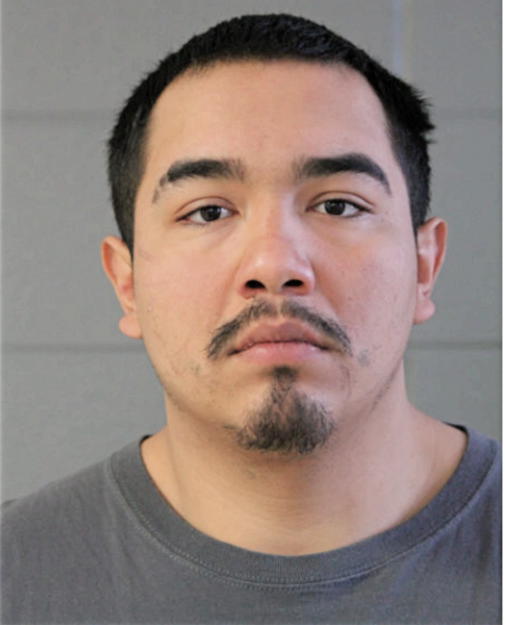 MARIO QUEROZ, Cook County, Illinois