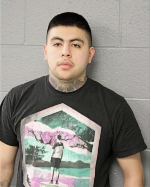 ELIAS ROMAN, Cook County, Illinois