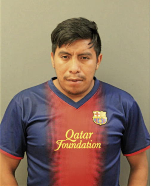 ESTUARDO D ROMERO, Cook County, Illinois