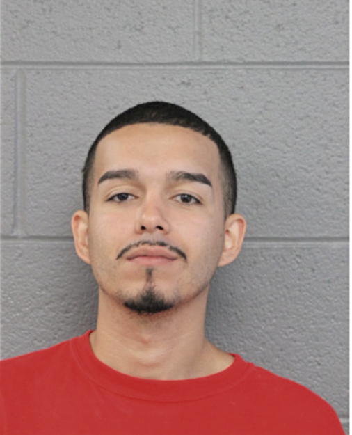 NESTOR ROSARIO, Cook County, Illinois