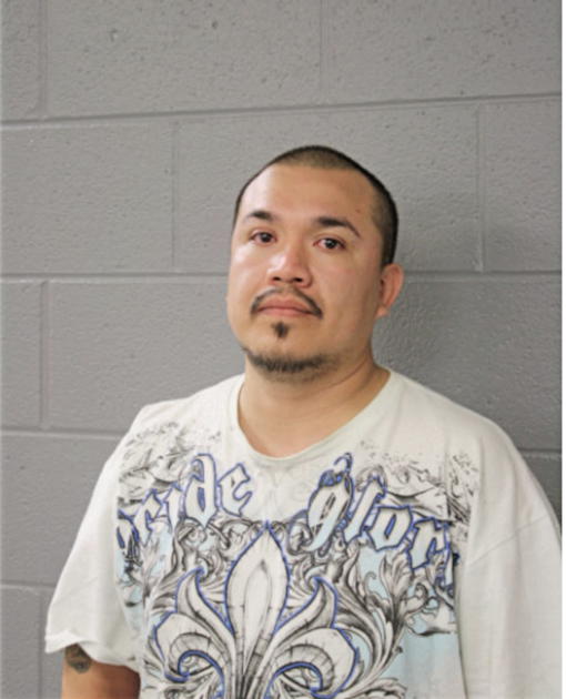 ALVELARDO SANCHEZ, Cook County, Illinois