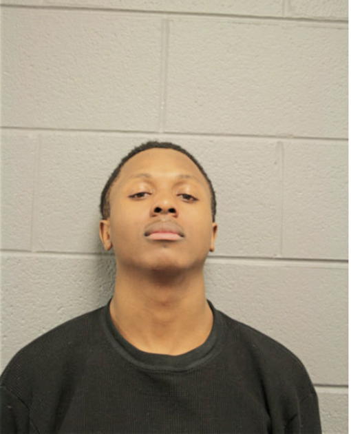 DAVID M THOMPSON, Cook County, Illinois