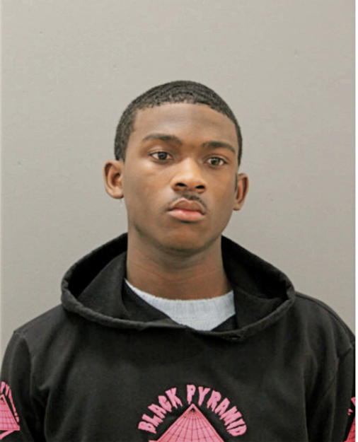 MARCUS D WEBB, Cook County, Illinois
