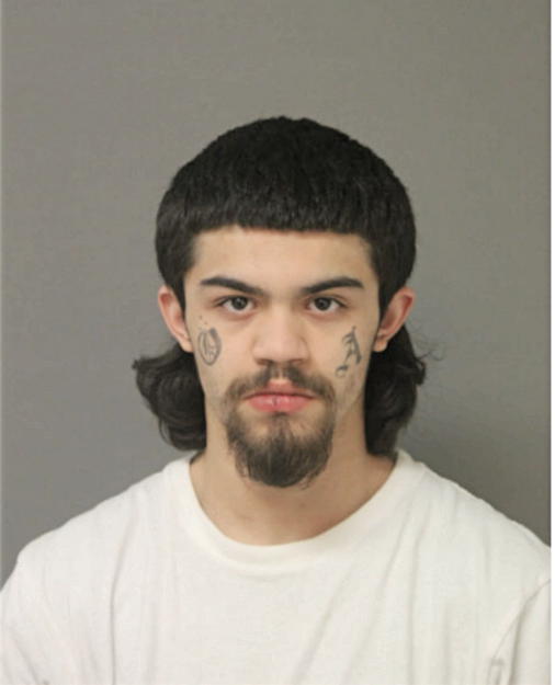 GEOVANNIE D COLLAZO, Cook County, Illinois