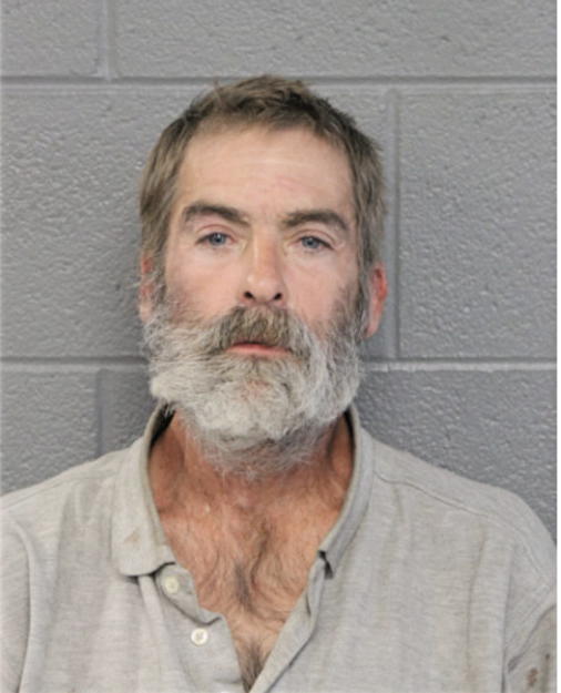 SHAWN M DAVIDSON, Cook County, Illinois