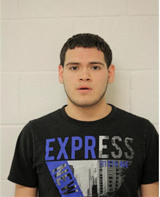 ALLAN J DUBON, Cook County, Illinois