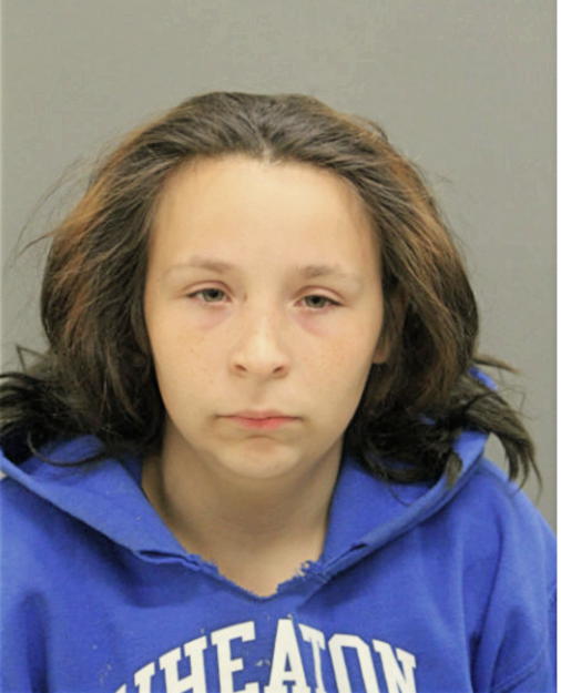 SARAH L EVANS, Cook County, Illinois