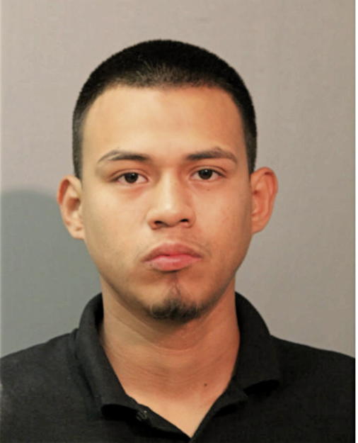 ERIK J GARCIA, Cook County, Illinois