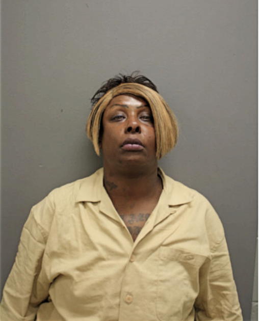 SHOLANDA S HORTON, Cook County, Illinois