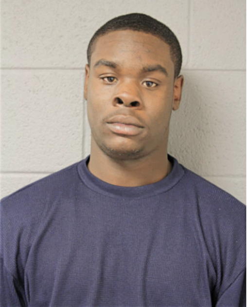MICHAEL JOHNSON, Cook County, Illinois