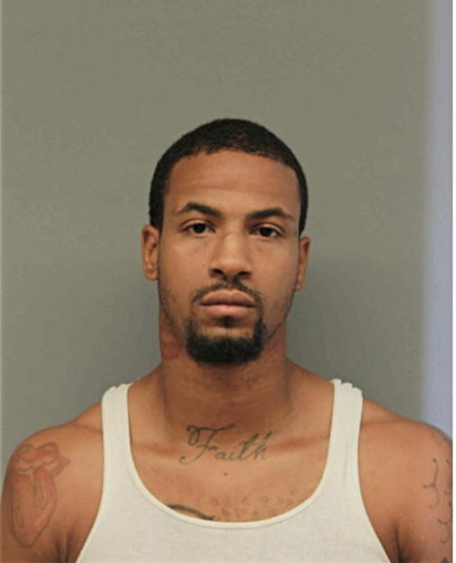 MICHAEL T JONES, Cook County, Illinois